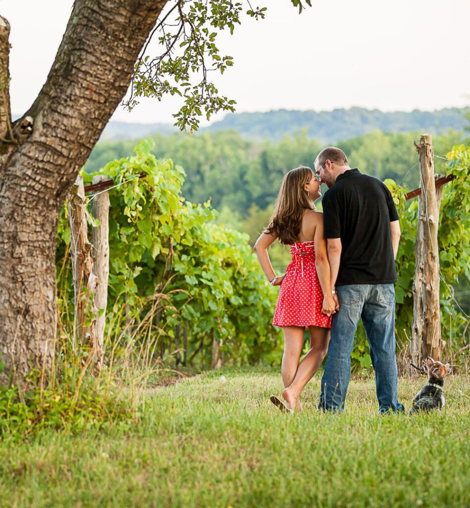 a couple snuggling in the vineyard