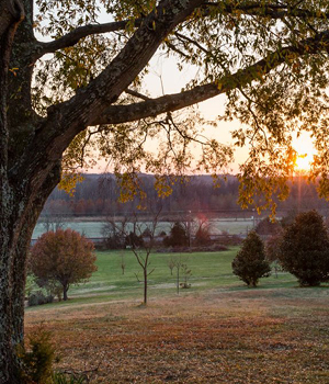 sunset over the winery